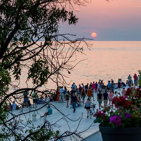 Sea Organ View Apartment Zadar